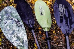 Top Fishing Kayak Paddles: Guide & Reviews Certified Kayak Fishing Instructor – Learn Kayak Angling with Expert Guidance Top Fishing Kayak Paddles: Guide & Reviews | Certified Kayak Fishing Instructor – Learn Kayak Angling with Expert Guidance