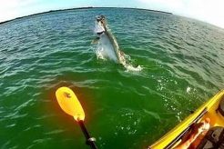Ultimate Kayak Fishing Guide: Key Biscayne Adventures Certified Kayak Fishing Instructor – Learn Kayak Angling with Expert Guidance Ultimate Kayak Fishing Guide: Key Biscayne Adventures | Certified Kayak Fishing Instructor – Learn Kayak Angling with Expert Guidance
