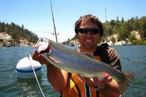 Ultimate Big Bear Kayak Fishing Guide Certified Kayak Fishing Instructor – Learn Kayak Angling with Expert Guidance Ultimate Big Bear Kayak Fishing Guide | Certified Kayak Fishing Instructor – Learn Kayak Angling with Expert Guidance