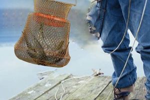 Best Kayak Fish Baskets for Your Next Catch Certified Kayak Fishing Instructor – Learn Kayak Angling with Expert Guidance Best Kayak Fish Baskets for Your Next Catch | Certified Kayak Fishing Instructor – Learn Kayak Angling with Expert Guidance