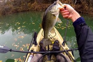 Best Kayak Fishing Spots in Austin TX Certified Kayak Fishing Instructor – Learn Kayak Angling with Expert Guidance Best Kayak Fishing Spots in Austin TX | Certified Kayak Fishing Instructor – Learn Kayak Angling with Expert Guidance