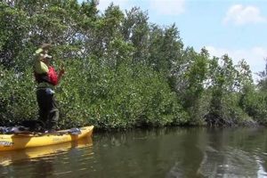 Ultimate Matlacha Kayak Fishing Guide Certified Kayak Fishing Instructor – Learn Kayak Angling with Expert Guidance Ultimate Matlacha Kayak Fishing Guide | Certified Kayak Fishing Instructor – Learn Kayak Angling with Expert Guidance