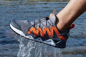 Top 5 Best Kayak Fishing Shoes for 2024 Certified Kayak Fishing Instructor – Learn Kayak Angling with Expert Guidance Top 5 Best Kayak Fishing Shoes for 2024 | Certified Kayak Fishing Instructor – Learn Kayak Angling with Expert Guidance