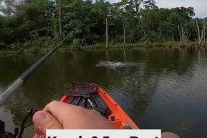 Top Lojo Fishing Kayaks: Ultimate Guide Certified Kayak Fishing Instructor – Learn Kayak Angling with Expert Guidance Top Lojo Fishing Kayaks: Ultimate Guide | Certified Kayak Fishing Instructor – Learn Kayak Angling with Expert Guidance
