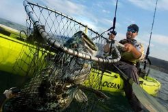 Best Kayak Fishing Spots: Bodega Bay Guide Certified Kayak Fishing Instructor – Learn Kayak Angling with Expert Guidance Best Kayak Fishing Spots: Bodega Bay Guide | Certified Kayak Fishing Instructor – Learn Kayak Angling with Expert Guidance