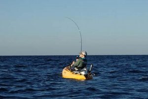 Best Kayak Fishing Spots: Florida Gulf Coast Certified Kayak Fishing Instructor – Learn Kayak Angling with Expert Guidance Best Kayak Fishing Spots: Florida Gulf Coast | Certified Kayak Fishing Instructor – Learn Kayak Angling with Expert Guidance