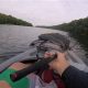 Ultimate Kayak Fishing: Susquehanna River Guide | Certified Kayak Fishing Instructor – Learn Kayak Angling with Expert Guidance