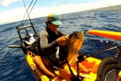 Best Kayak Fishing Oahu: Guide & Spots Certified Kayak Fishing Instructor – Learn Kayak Angling with Expert Guidance Best Kayak Fishing Oahu: Guide & Spots | Certified Kayak Fishing Instructor – Learn Kayak Angling with Expert Guidance