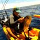 Best Kayak Fishing Oahu: Guide & Spots | Certified Kayak Fishing Instructor – Learn Kayak Angling with Expert Guidance