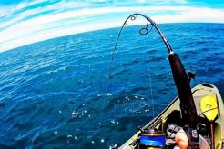 Epic Kayak Kingfish Fishing: Tips & Tricks Certified Kayak Fishing Instructor – Learn Kayak Angling with Expert Guidance Epic Kayak Kingfish Fishing: Tips & Tricks | Certified Kayak Fishing Instructor – Learn Kayak Angling with Expert Guidance