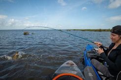 Best Kayak Fishing Spots: New Orleans Guide Certified Kayak Fishing Instructor – Learn Kayak Angling with Expert Guidance Best Kayak Fishing Spots: New Orleans Guide | Certified Kayak Fishing Instructor – Learn Kayak Angling with Expert Guidance