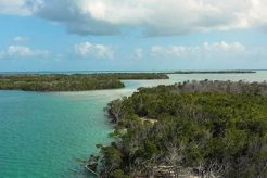 Top Key West Kayak Fishing Spots & Charters Certified Kayak Fishing Instructor – Learn Kayak Angling with Expert Guidance Top Key West Kayak Fishing Spots & Charters | Certified Kayak Fishing Instructor – Learn Kayak Angling with Expert Guidance