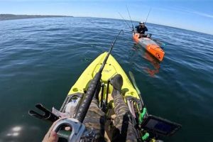 Ultimate Kayak Rockfish Fishing Guide Certified Kayak Fishing Instructor – Learn Kayak Angling with Expert Guidance Ultimate Kayak Rockfish Fishing Guide | Certified Kayak Fishing Instructor – Learn Kayak Angling with Expert Guidance