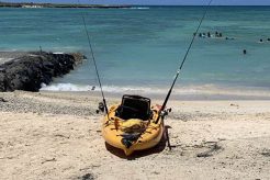 Best Hawaii Kayak Fishing Guides & Tours Certified Kayak Fishing Instructor – Learn Kayak Angling with Expert Guidance Best Hawaii Kayak Fishing Guides & Tours | Certified Kayak Fishing Instructor – Learn Kayak Angling with Expert Guidance