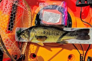 Kayak Fishing: Measure Your Catch Accurately | Certified Kayak Fishing Instructor – Learn Kayak Angling with Expert Guidance