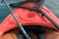 Ultimate Kayak Lingcod Fishing Guide Certified Kayak Fishing Instructor – Learn Kayak Angling with Expert Guidance Ultimate Kayak Lingcod Fishing Guide | Certified Kayak Fishing Instructor – Learn Kayak Angling with Expert Guidance