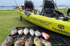 Best Kayak Fishing Rentals in Singapore Certified Kayak Fishing Instructor – Learn Kayak Angling with Expert Guidance Best Kayak Fishing Rentals in Singapore | Certified Kayak Fishing Instructor – Learn Kayak Angling with Expert Guidance