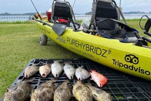 Best Kayak Fishing Rentals in Singapore | Certified Kayak Fishing Instructor – Learn Kayak Angling with Expert Guidance