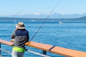 Best Kayak Fishing Spots in Seattle: Guide | Certified Kayak Fishing Instructor – Learn Kayak Angling with Expert Guidance