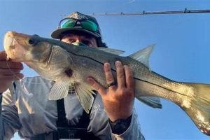 Ultimate Kayak Fishing: Sebastian Inlet Guide Certified Kayak Fishing Instructor – Learn Kayak Angling with Expert Guidance Ultimate Kayak Fishing: Sebastian Inlet Guide | Certified Kayak Fishing Instructor – Learn Kayak Angling with Expert Guidance
