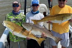 Ultimate Kayak Fishing: Venice, Louisiana Adventures Certified Kayak Fishing Instructor – Learn Kayak Angling with Expert Guidance Ultimate Kayak Fishing: Venice, Louisiana Adventures | Certified Kayak Fishing Instructor – Learn Kayak Angling with Expert Guidance
