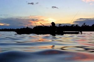 Best Kayak Fishing Spots in Lafayette, LA Certified Kayak Fishing Instructor – Learn Kayak Angling with Expert Guidance Best Kayak Fishing Spots in Lafayette, LA | Certified Kayak Fishing Instructor – Learn Kayak Angling with Expert Guidance