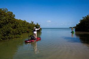 Ultimate Belize Kayak Fishing Adventure Certified Kayak Fishing Instructor – Learn Kayak Angling with Expert Guidance Ultimate Belize Kayak Fishing Adventure | Certified Kayak Fishing Instructor – Learn Kayak Angling with Expert Guidance