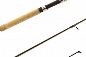 Top Shimano Kayak Fishing Rods: Guide & Reviews Certified Kayak Fishing Instructor – Learn Kayak Angling with Expert Guidance Top Shimano Kayak Fishing Rods: Guide & Reviews | Certified Kayak Fishing Instructor – Learn Kayak Angling with Expert Guidance