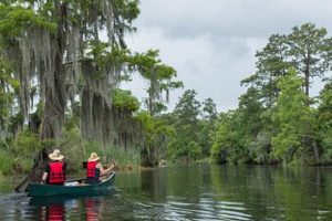 Top Kayak Fishing Spots in Louisiana 2024 Certified Kayak Fishing Instructor – Learn Kayak Angling with Expert Guidance Top Kayak Fishing Spots in Louisiana 2024 | Certified Kayak Fishing Instructor – Learn Kayak Angling with Expert Guidance