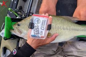 Best Kayak Fishing Tournament Measuring Boards Certified Kayak Fishing Instructor – Learn Kayak Angling with Expert Guidance Best Kayak Fishing Tournament Measuring Boards | Certified Kayak Fishing Instructor – Learn Kayak Angling with Expert Guidance