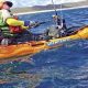 Kingfish Kayak Fishing | Certified Kayak Fishing Instructor – Learn Kayak Angling with Expert Guidance