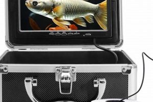Best Cameras for Kayak Fishing: Top Picks & Guide Certified Kayak Fishing Instructor – Learn Kayak Angling with Expert Guidance Best Cameras for Kayak Fishing: Top Picks & Guide | Certified Kayak Fishing Instructor – Learn Kayak Angling with Expert Guidance