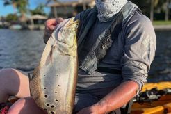 Top Kayak Fishing Spots Palm Beach, FL Certified Kayak Fishing Instructor – Learn Kayak Angling with Expert Guidance Top Kayak Fishing Spots Palm Beach, FL | Certified Kayak Fishing Instructor – Learn Kayak Angling with Expert Guidance