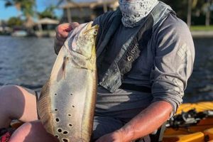 Top Kayak Fishing Spots Palm Beach, FL Certified Kayak Fishing Instructor – Learn Kayak Angling with Expert Guidance Top Kayak Fishing Spots Palm Beach, FL | Certified Kayak Fishing Instructor – Learn Kayak Angling with Expert Guidance