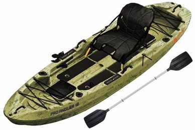 Top Ozark Trail Pro Angler Fishing Kayak Reviews Certified Kayak Fishing Instructor – Learn Kayak Angling with Expert Guidance Top Ozark Trail Pro Angler Fishing Kayak Reviews | Certified Kayak Fishing Instructor – Learn Kayak Angling with Expert Guidance