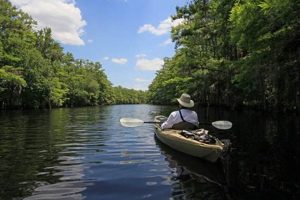 Best Kayak Fishing Spots: Lake Okeechobee Guide Certified Kayak Fishing Instructor – Learn Kayak Angling with Expert Guidance Best Kayak Fishing Spots: Lake Okeechobee Guide | Certified Kayak Fishing Instructor – Learn Kayak Angling with Expert Guidance