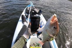 Ultimate Trinidad Kayak Fishing Guide Certified Kayak Fishing Instructor – Learn Kayak Angling with Expert Guidance Ultimate Trinidad Kayak Fishing Guide | Certified Kayak Fishing Instructor – Learn Kayak Angling with Expert Guidance