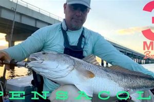 Best Kayak Fishing Spots in Pensacola, Florida | Certified Kayak Fishing Instructor – Learn Kayak Angling with Expert Guidance