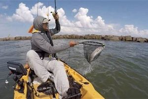 Best Kayak Fishing in the Gulf: A Guide Certified Kayak Fishing Instructor – Learn Kayak Angling with Expert Guidance Best Kayak Fishing in the Gulf: A Guide | Certified Kayak Fishing Instructor – Learn Kayak Angling with Expert Guidance