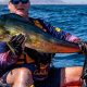 Top Kayak Fishing News & Updates | Certified Kayak Fishing Instructor – Learn Kayak Angling with Expert Guidance