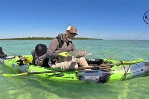 Top Fishing Kayaks Under $1000 in Australia Certified Kayak Fishing Instructor – Learn Kayak Angling with Expert Guidance Top Fishing Kayaks Under $1000 in Australia | Certified Kayak Fishing Instructor – Learn Kayak Angling with Expert Guidance