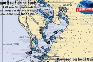Top Kayak Fishing Spots in Tampa Bay, FL Certified Kayak Fishing Instructor – Learn Kayak Angling with Expert Guidance Top Kayak Fishing Spots in Tampa Bay, FL | Certified Kayak Fishing Instructor – Learn Kayak Angling with Expert Guidance