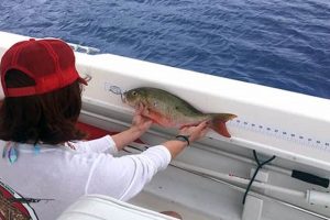 Best Kayak Fish Ruler Stickers for Accurate Measurement Certified Kayak Fishing Instructor – Learn Kayak Angling with Expert Guidance Best Kayak Fish Ruler Stickers for Accurate Measurement | Certified Kayak Fishing Instructor – Learn Kayak Angling with Expert Guidance