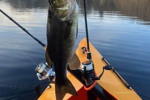 Best Kayak Fishing Tips & Gear - Reddit | Certified Kayak Fishing Instructor – Learn Kayak Angling with Expert Guidance