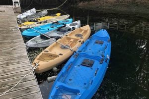 Best Kayak Boats: Top Models & Buyer's Guide | Certified Kayak Fishing Instructor – Learn Kayak Angling with Expert Guidance