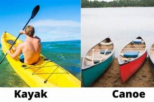Best Canoe vs Kayak for Fishing: Expert Guide | Certified Kayak Fishing Instructor – Learn Kayak Angling with Expert Guidance