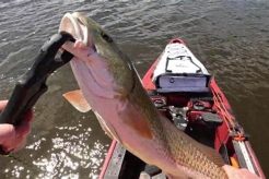 Ultimate Choctawhatchee Bay Kayak Fishing Guide | Certified Kayak Fishing Instructor – Learn Kayak Angling with Expert Guidance