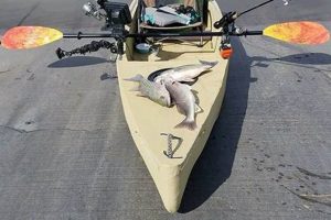 Top Unsinkable Fishing Kayaks: Ultimate Guide | Certified Kayak Fishing Instructor – Learn Kayak Angling with Expert Guidance