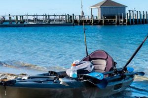 Top Budget Fishing Kayaks: Affordable Options Certified Kayak Fishing Instructor – Learn Kayak Angling with Expert Guidance Top Budget Fishing Kayaks: Affordable Options | Certified Kayak Fishing Instructor – Learn Kayak Angling with Expert Guidance