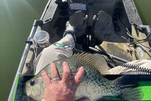 Best Kayak Fishing Spots in Colorado: A Guide | Certified Kayak Fishing Instructor – Learn Kayak Angling with Expert Guidance